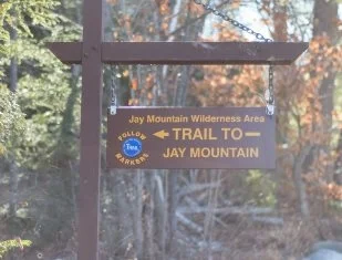 Jay Mountain.webp