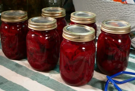 Pickled-Beets_43_let-sit-overnight1.webp