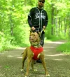 Oka3.webp