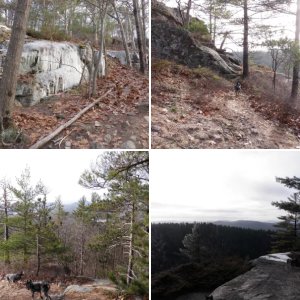 Rattlesnake Mountain