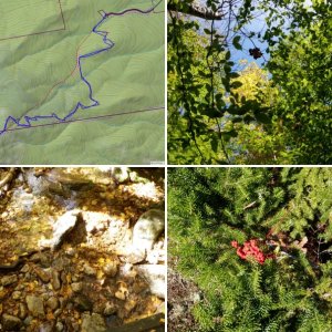 Lyon Mountain Fire Tower