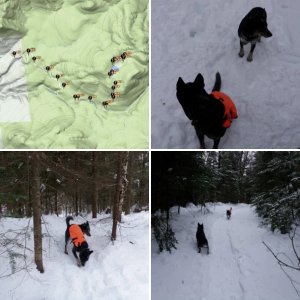 Weston Mountain (attempt)