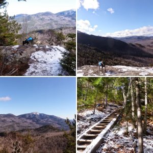 Hedgehog & Rooster Comb