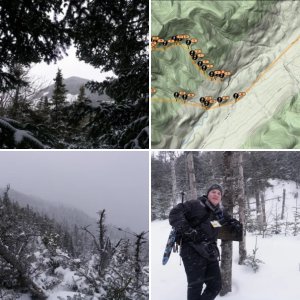 Upper Wolfjaw and Armstrong Mtn's