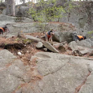 Always fun to explore