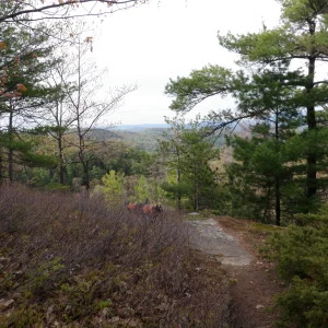 Views starting to come into play