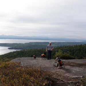 Me and the pups on Rattlesnake mountain