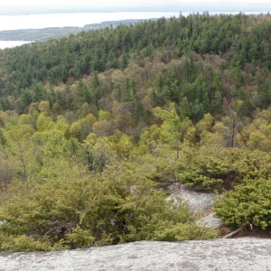 Lake Champlain with Willsboro point in the foreground.