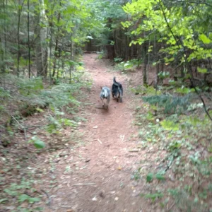 IMG_20160822_123202266