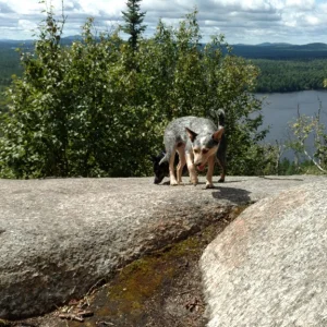 IMG_20160822_130540797