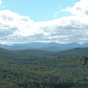 IMG_20160822_130857795