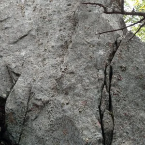 IMG_20160822_131214157