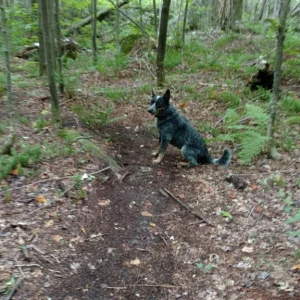 IMG_20160822_132340523