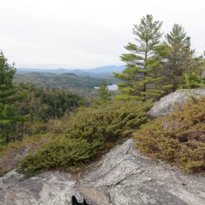 Starting to get views