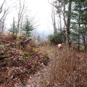 10478278_10203900809258756_7495428676067734106_o