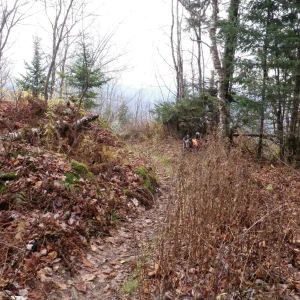 10636542_10203900809458761_4405461737402238851_o