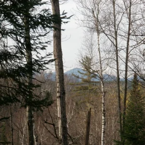 10700216_10203900793058351_5009360198603795200_o