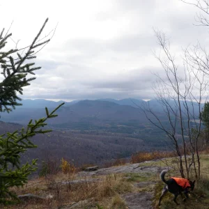 10700732_10203900800538538_9163471833274374970_o