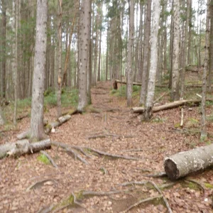 10708551_10203900789418260_1163998432565591764_o