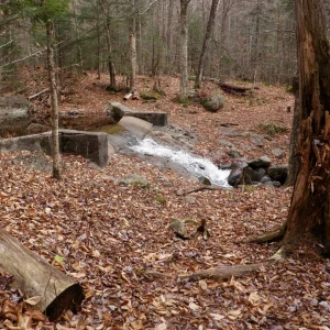 10710293_10203900810938798_4862866485429644831_o