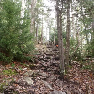 10514171_10203900795978424_5039800730408367611_o