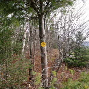 10547881_10203900800178529_9066138759631971560_o