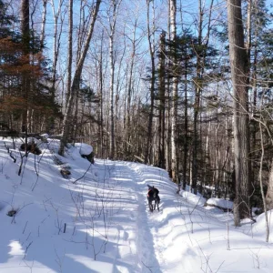 743_10202292216444941_561096223_n