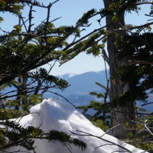 75980_10202292220805050_222883956_n