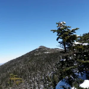 1554608_10202292220165034_374211909_n