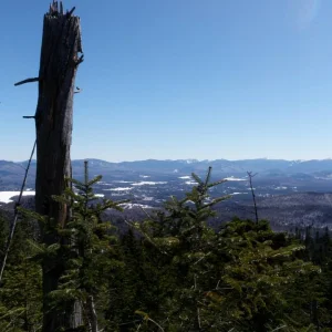 1794560_10202292221805075_400076159_n