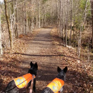 Our path, for a little ways