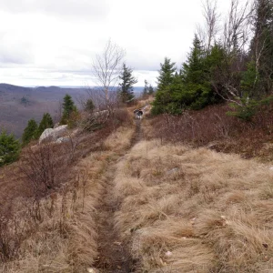 More of the same ridge