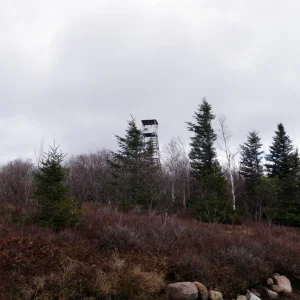 View of tower, from the ledge