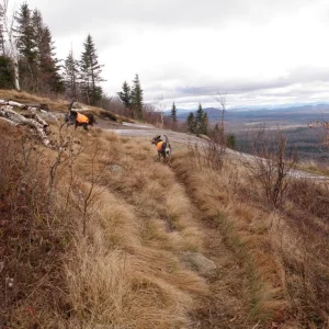 Beautiful views on the ledge below the tower