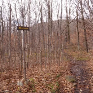 I guess we go that way