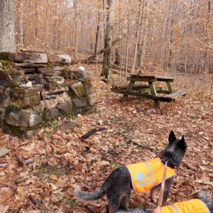 Campsite we pass by on our way up