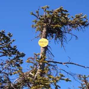 Donaldson_Summit_2008