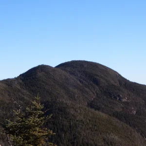 Seward_from_Donaldson_2008