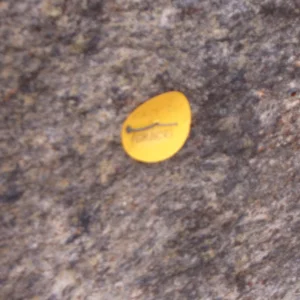 Grace_Mt__October_4th