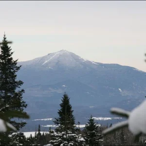 IMG_6198_Crp_regular