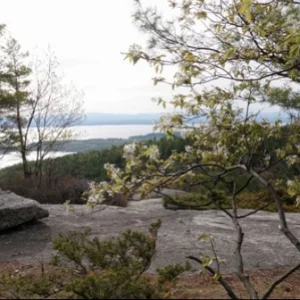 Rattlesnake Mountain