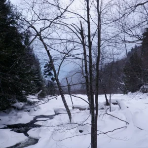 Looking up towards Lower Ausable Lake from the foot bridge