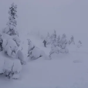 Approaching Gothics via the cornice