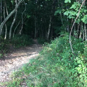 8E4D2BD9-17BC-4BB0-90C7-01F6C739C294