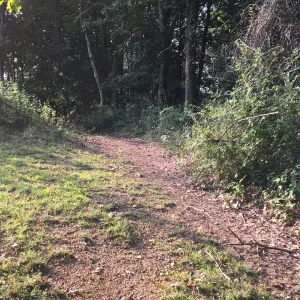 655B4231-0D62-456A-8FFA-49BD595F3DAA