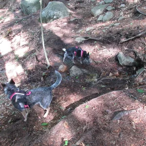 A few drainage crossings