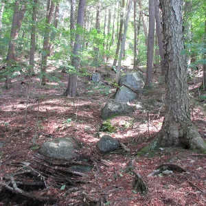 Looking up towards the summit