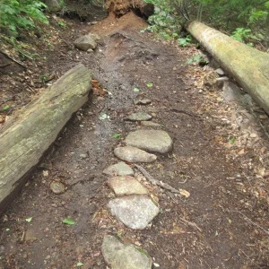 Some trail work