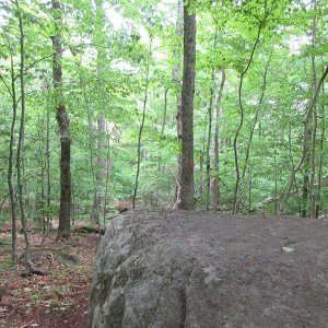 A few large rocks along the trail