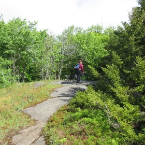 Danie looking for surveyor pin